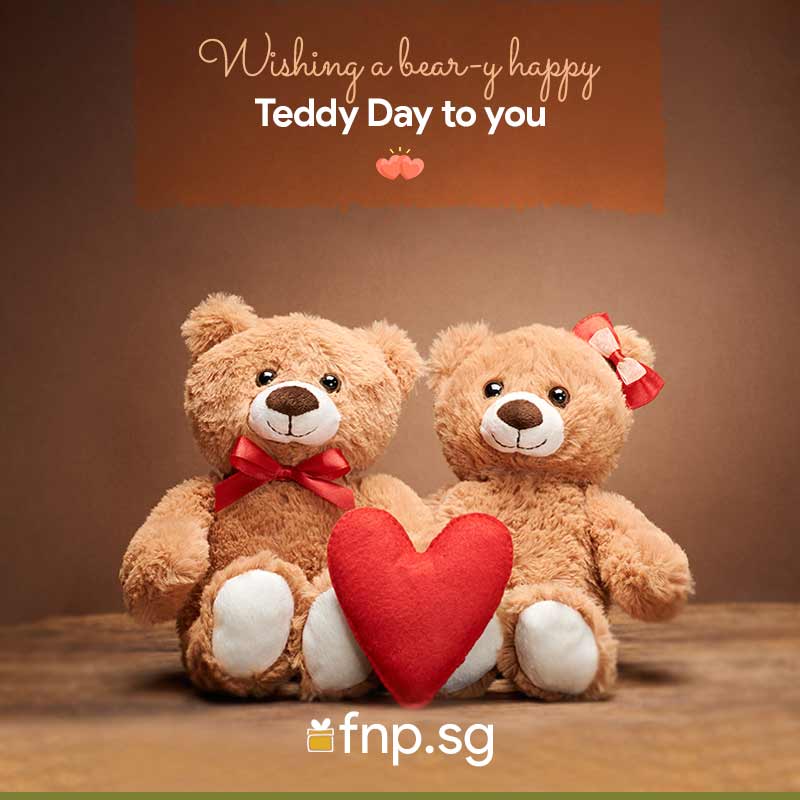 happy teddy day my love